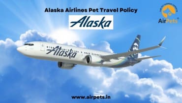 Alaska Airlines Pet Travel Policy