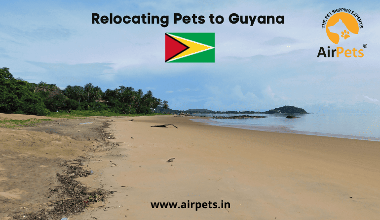 Relocating Pets to Guyana