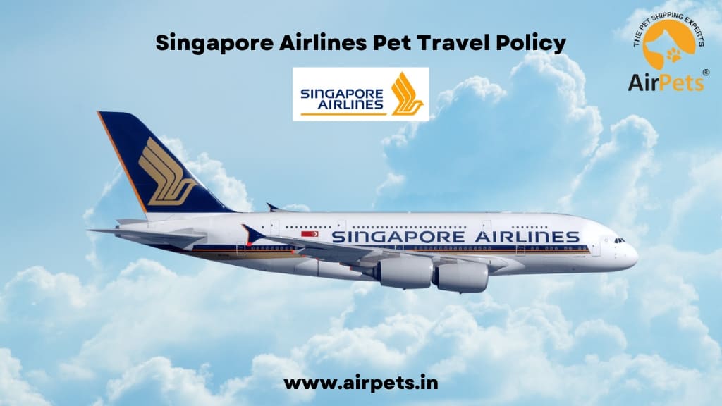 Singapore Airlines Pet Travel Policy