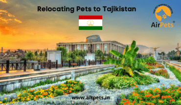 Relocating Pets to Tajikistan