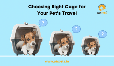Choosing Right Cage for Your Pet’s Travel