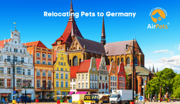 Relocating Pets to Germany