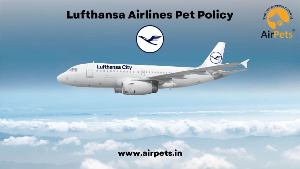 Lufthansa Airlines Pet Policy