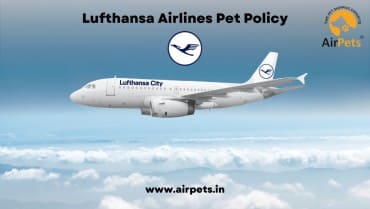Lufthansa Airlines Pet Policy