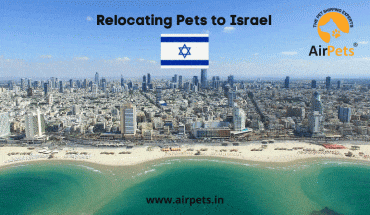 Relocating Pets to Israel