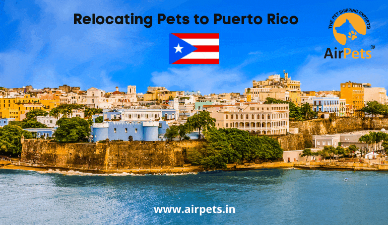 Relocating Pets to Puerto Rico 
