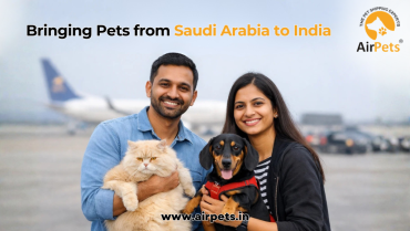 Bringing Pets from Saudi Arabia to India