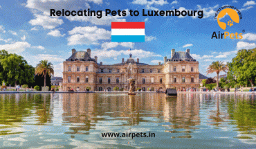 Relocating Pets to Luxembourg