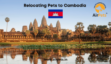 Relocating Pets to Cambodia