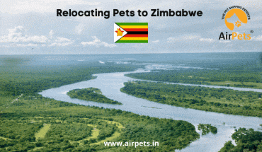 Relocating Pets to Zimbabwe
