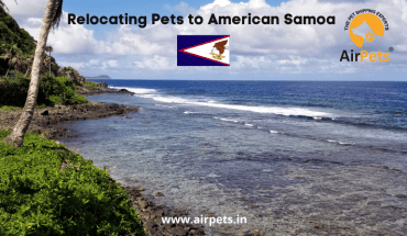 Relocating Pets to American Samoa