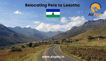 Relocating Pets to Lesotho