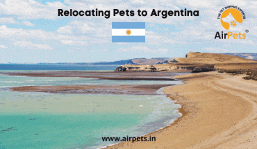 Relocating Pets to Argentina