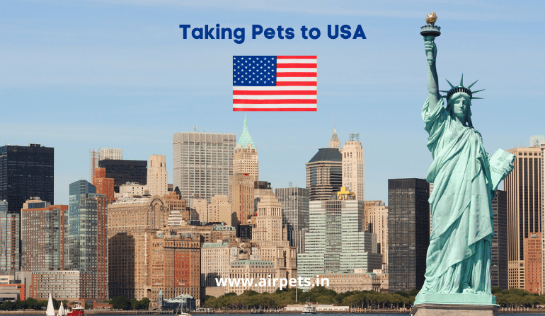 Taking Pets to the USA
