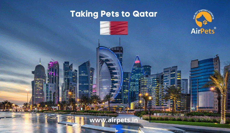 Taking Pets to Qatar