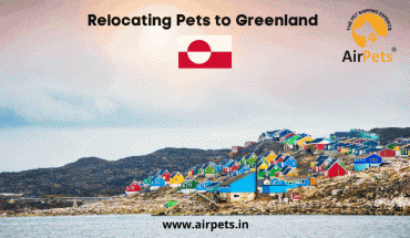 Relocating Pets to Greenland
