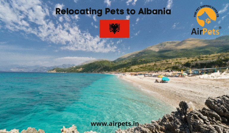 Relocating Pets to Albania