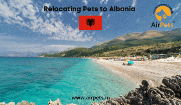 Relocating Pets to Albania
