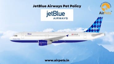 JetBlue Airways Pet Policy
