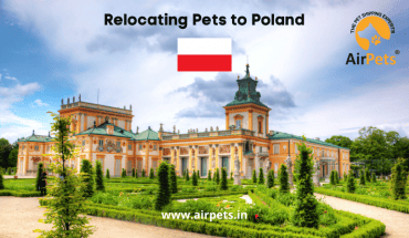 Relocating Pets to Poland