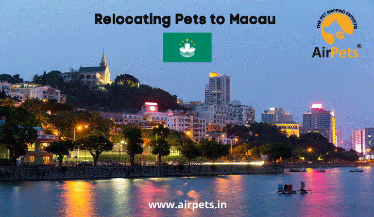 Relocating Pets to Macau