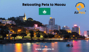 Relocating Pets to Macau