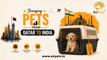 Bringing Pets from Qatar to India