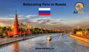 Relocating Pets to Russia