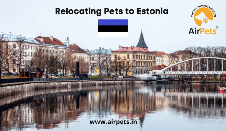 estonia pet travel
