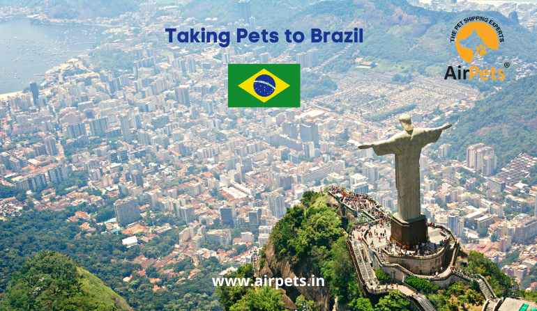 pet travel uk to brazil