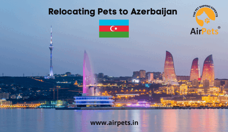 azerbaijan pet travel